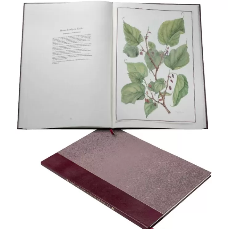 Royal Collection Shop Limited Edition The Queen'S Mulberries* Royal Collection Publications