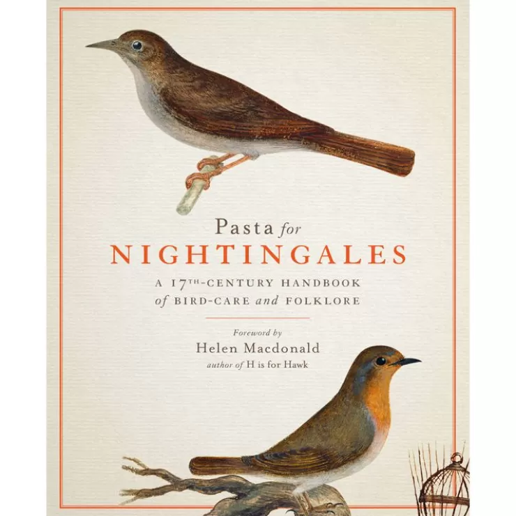 Royal Collection Shop Pasta For Nightingales: A 17Th-Century Handbook Of Bird-Care And Folklore* Royal Collection Publications